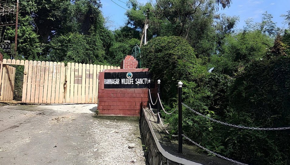 Ramnagar Rakha Wildlife Sanctuary, Jammu, Jammu and Kashmir - Vushii.com Ramnagar Rakha Wildlife Sanctuary, Jammu, Jammu and Kashmir - Vushii.com